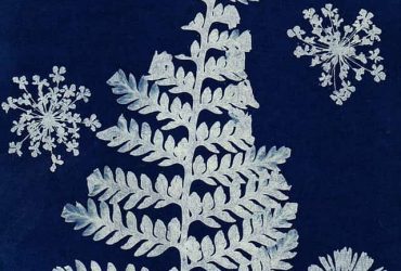 Diy Bedroom Wall Decoration With Paper Craft