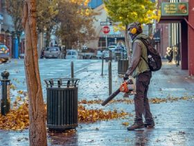 Leaf blower