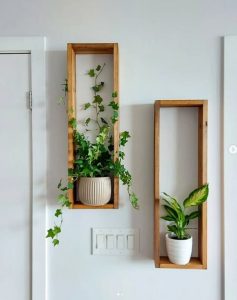 Plant nursery shelf