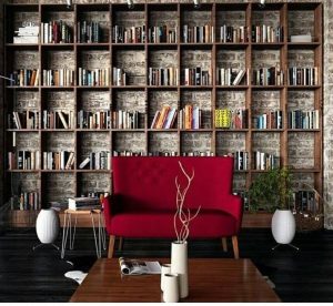 Bookshelf backdrop Interior Brick Wall 