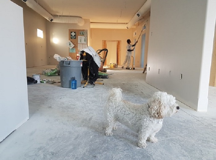 Add value to your home