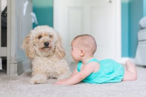 Soft flooring for baby nursery