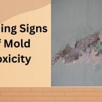 10 Warning signs of mold toxicity