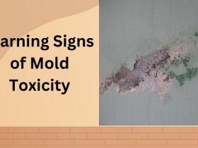 10 Warning signs of mold toxicity