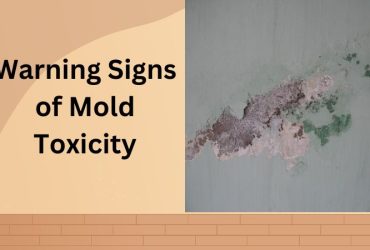 10 Warning signs of mold toxicity