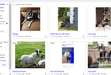 Dallas Craigslist farm and garden