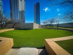 Artificial grass and residential landscaping idea