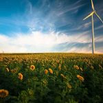 Wind turbine in the sunflower garden