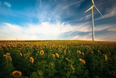 Wind turbine in the sunflower garden