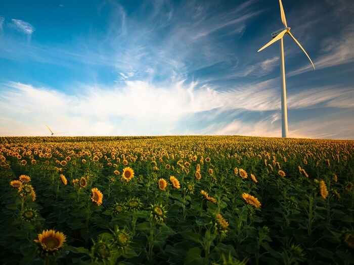 Wind turbine in the sunflower garden