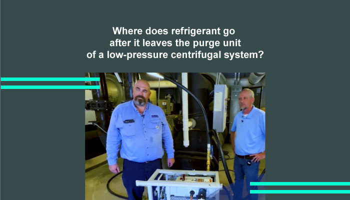 Where does refrigerant go after it leaves the purge unit of a low-pressure centrifugal system?
