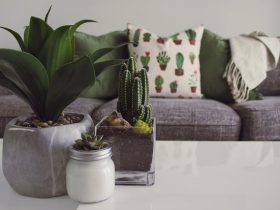 Contemporary Style