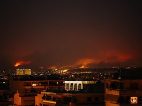 Which location is the best option for someone in case of a wildfire?