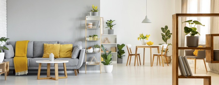 Modern Spacious Living Room with Sofa, Furniture, and Shelves