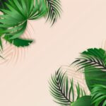 Palm Leaf Wallpaper