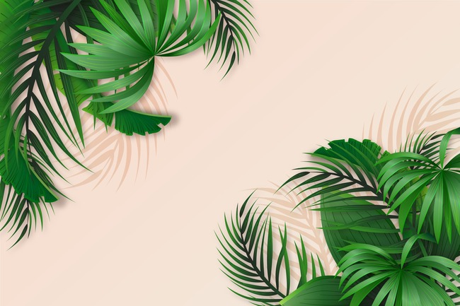 Palm Leaf Wallpaper