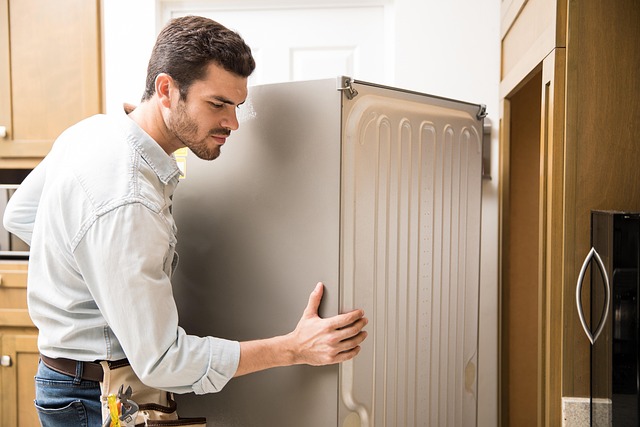 Refrigerator service