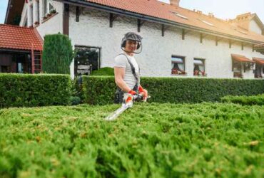 Residential Landscaping