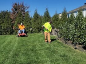 Lawn care