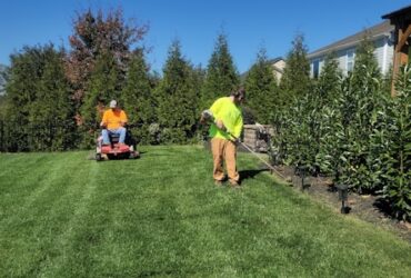 Lawn care
